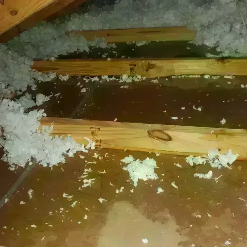 Attic Water Damage in Lunenburg, MA